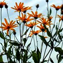 ���� ������� �., ����� - ��������� 17 ������� 2013 � ������ �������