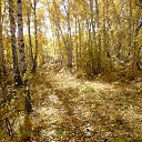 ���� ���, ���������, 66 ��� - ��������� 6 ������� 2013 � ������ ������ ��������