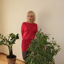 ���� ������������, �����, 41 ��� - ��������� 11 ������� 2013 � ������ ���� ����������