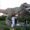 ���� Shamshir, ���� - ��������� 21 ������� 2013 � ������ ���� ����������