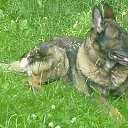 ���� �������, ������, 41 ��� - ��������� 19 �������� 2013 � ������ �1�