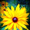 ���� ������� �., ����� - ��������� 6 ������� 2013 � ������ �������