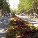 ���� ����, �������� - ��������� 18 ������� 2014 � ������ ���� �������������