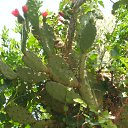 ���������� �� ������� ���� ����������