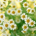 ���� Natal��, ������ ��� - ��������� 15 ������� 2014 � ������ ������ ��������