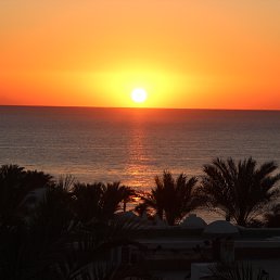 ���������, ��������