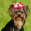 ���� Nicol, ������ - ��������� 27 �������� 2013 � ������ ������ ������ � ���� ��������.������� ^^�