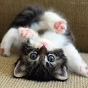 ���� �������, ������-��� - ��������� 24 ������ 2014 � ������ ������� ����