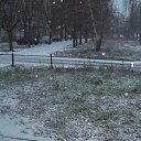 ���� ˸��, �����, 33 ���� - ��������� 2 ������� 2013 � ������ �28.11.2013�