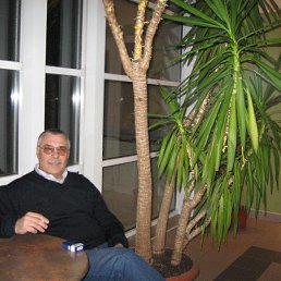  , -, 67  -  19  2013