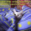 ���� �����, ������, 47 ��� - ��������� 22 ������� 2013 � ������ ���� ����������