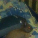 ���� �����, �����-���������, 40 ��� - ��������� 4 ������� 2013 � ������ ���� ����������