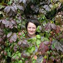 ���� �����, �����, 48 ��� - ��������� 23 �������� 2013 � ������ ���� ����������