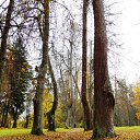  , , 68  -  14  2013    ...