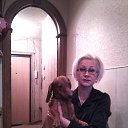 � ����� � ������ � ������ �� ������� ���� ����������