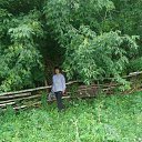 ���� ����, ������ - ��������� 6 �������� 2013 � ������ ��.����