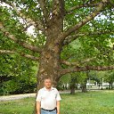 ���� ��������, ���������, 69 ��� - ��������� 6 ����� 2014