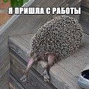 ���� ������� (70), �������� - ��������� 23 ������ 2014 � ������ ���� ����������