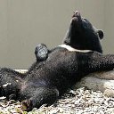 ���� ������, ���������, 44 ���� - ��������� 1 ������� 2013