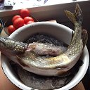 ���� �������, ���������, 58 ��� - ��������� 17 �������� 2013 � ������ ���� ����������