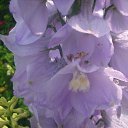 ���� �������, ������� - ��������� 28 ������� 2014 � ������ ������ ��������