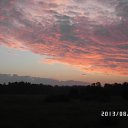 ���� �����, ������, 59 ��� - ��������� 31 ������� 2013 � ������ ���� ����������