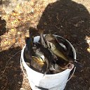 ���� �������, ���������, 58 ��� - ��������� 17 �������� 2013 � ������ ���� ����������