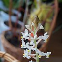 ������� �� ������� ���� ����������