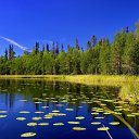 ���� Pittolinn, �����������, 54 ���� - ��������� 22 ������� 2013 � ������ �������