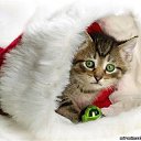 ���� ������, ������, 30 ��� - ��������� 14 ������� 2013 � ������ ���� ����������