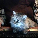 �������� �� ������� �� � ��� ������