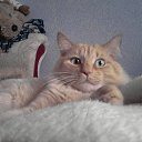  Anatoliy, , 48  -  9  2014    