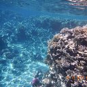 ���� ���������, ����������, 42 ���� - ��������� 28 ������� 2013 � ������ ������ 2013�