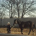 ������ ��������� �� ������� ���� ����������
