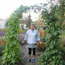 ���� ������� ������, ������ �����, 72 ���� - ��������� 19 ������� 2013 � ������ ���� ����������