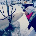 ���� �������, ������ - ��������� 1 ������� 2014 � ������ ���� ����������