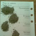 ���� ���������, ���� - ��������� 14 ������� 2014 � ������ ������ ��������