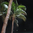 ���� �����, �������-����� - ��������� 27 ������� 2014 � ������ ���� ����������