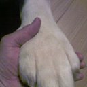 ���� ����, �����-���������, 67 ��� - ��������� 7 ����� 2014 � ������ ���� ����������