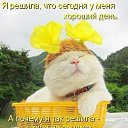 ���� ����, ���������, 51 ��� - ��������� 30 ������� 2013 � ������ ������ � http://fotostrana.ru/user/67976307/�