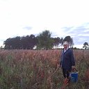 ������� ��������� �� ������� �������