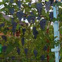 ��������"������ �������" �� ������� ���� ����.�