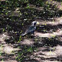 ���� ����, ����, 43 ���� - ��������� 25 ������� 2013 � ������ ����������