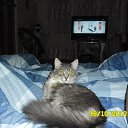 ���� Alexandr, ������, 47 ��� - ��������� 14 ������� 2013