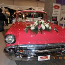 ���� �������, ������ - ��������� 11 ������ 2014 � ������ ��������� 2014 �������˻