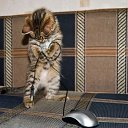 ���� ��, ��� ���?!, �����-���������, 56 ��� - ��������� 3 ����� 2014 � ������ ���� ����������