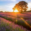 ���� �������, ���� - ��������� 10 ����� 2014 � ������ ���� ����������