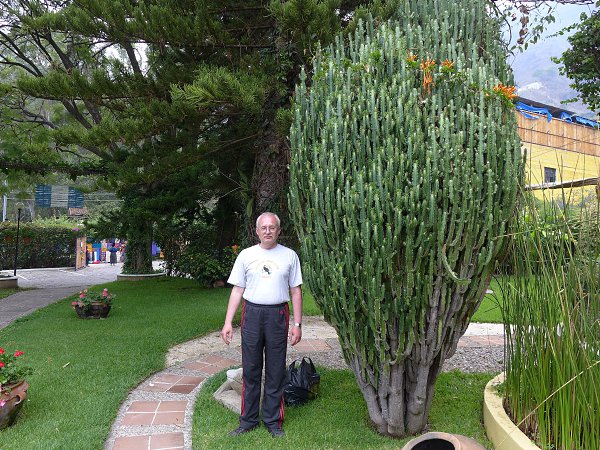  : :) - . AKUNA MATATA!!! ......., 62 , 