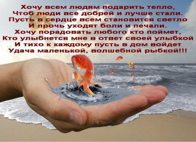 <a href=