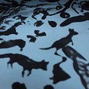 ���� ���������, ������, 34 ���� - ��������� 9 ������ 2014 � ������ �������